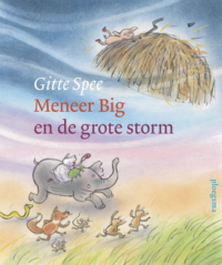 Meneer Big en de grote storm - Gitte Spee